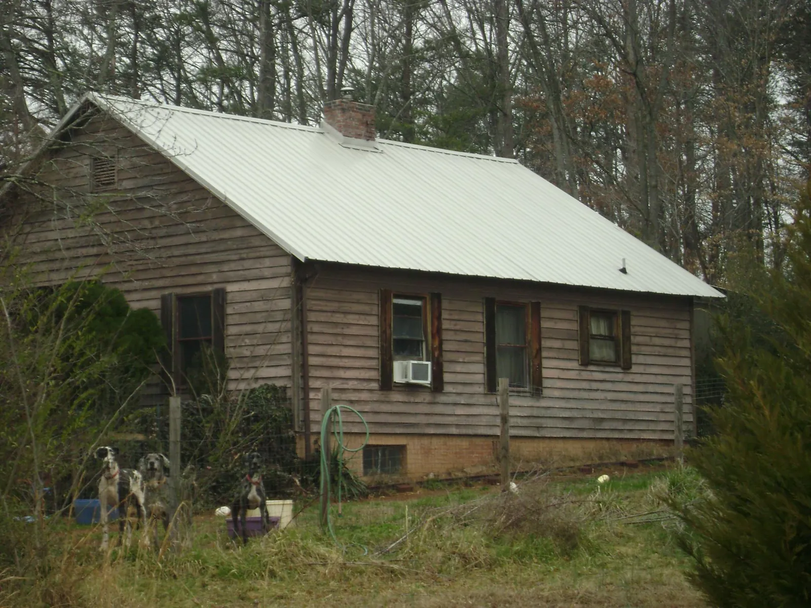 White metal roof on an old wood sided farmhouse, from a Metal Roof Installation job in New Marshfield